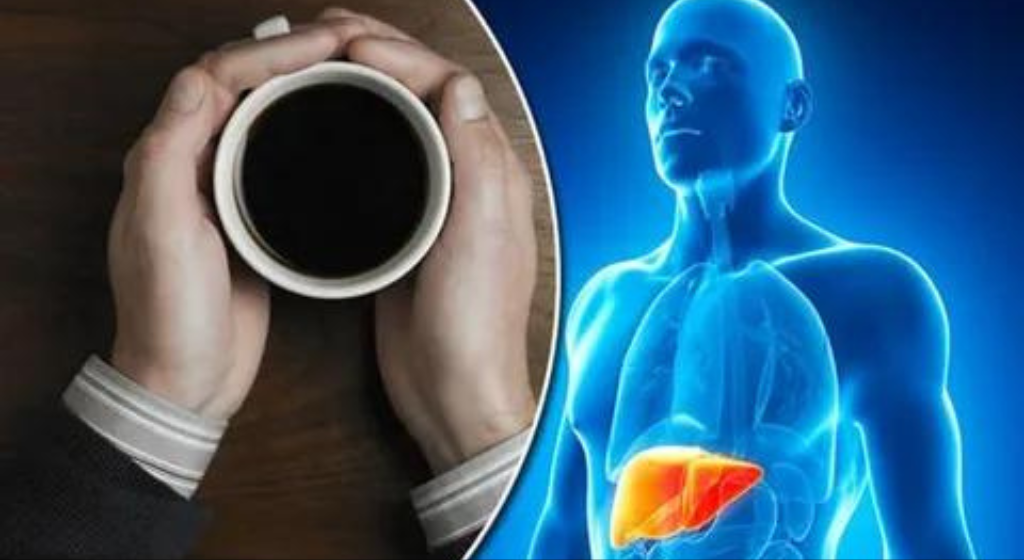 “Protect Your Liver: Top Strategies to Prevent Disease and Boost Health”